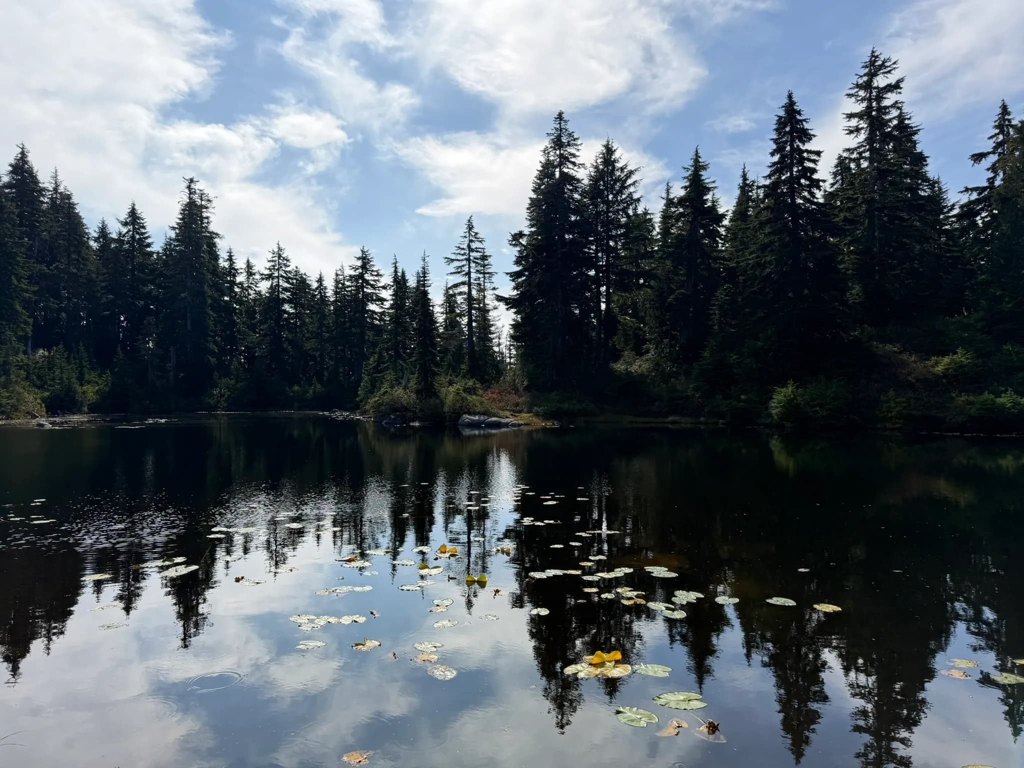 A quiet lake up in North Vancouver